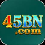 45bn 45bn Profile Picture